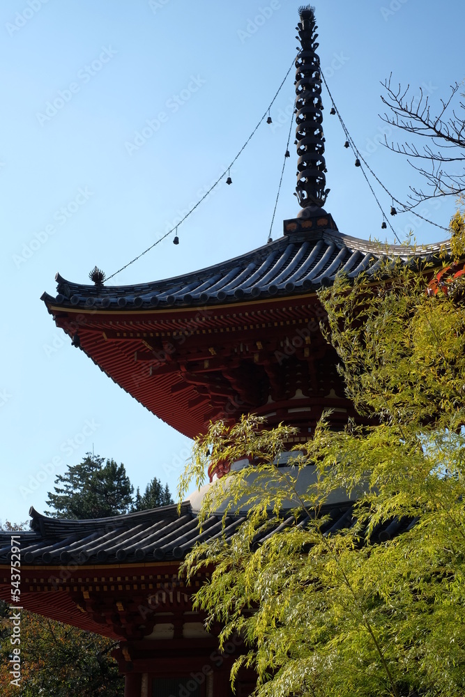 Naklejka premium 秋の喜多院