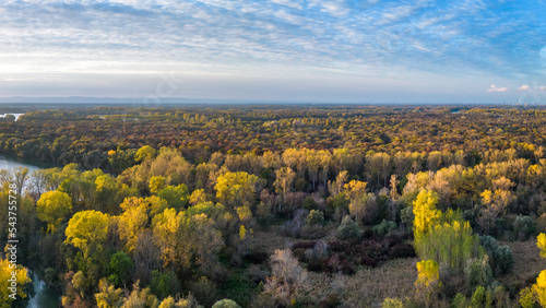 Panoramic landscape of the Rhine Valley with autumn colors near Ketsch in Germany.