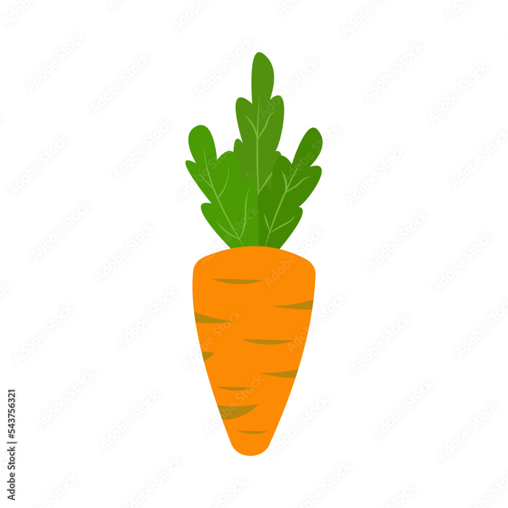 Orange carrot with green leaves. Cartoon vegetables Orange carrot with green leaves. Cartoon vegetables