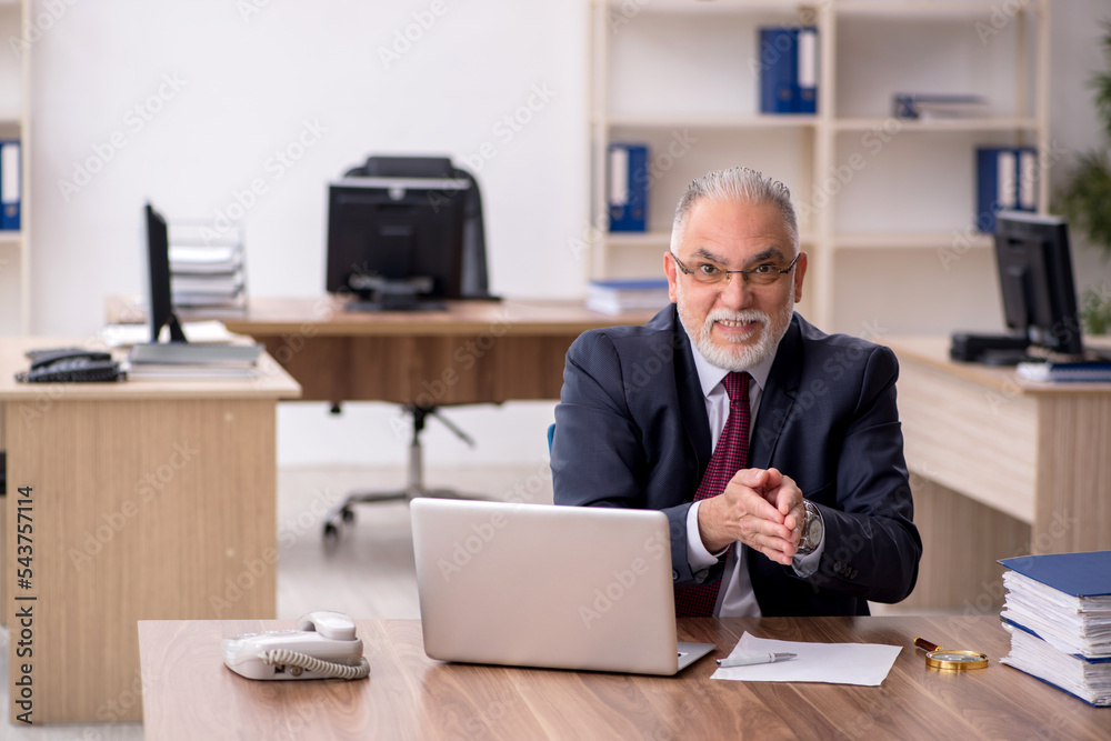 Old male employee working in the office Old male employee working in the office