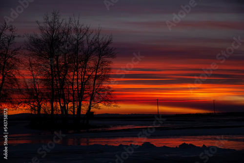 Colorful sunset in prairies with bare winter tree silhouettes. © Saeedatun
