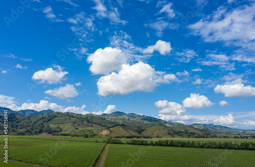 CAÑADUZAL EN LA VIRGINIA RISARALDA. SOMBREADO POR MONTAÑAS MAJESTUOSAS QUE HACEN DE ESTE LUGAR UN PAISAJE UNICO EN LA REGION.