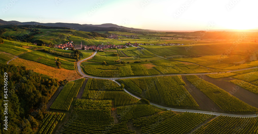 Ταπετσαρία autumnal view of the alsace vineyards