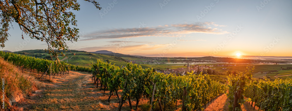 Εκτύπωση καμβά autumnal view of the alsace vineyards