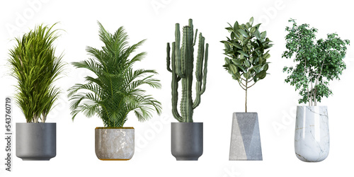 Plants in 3d rendering isolated
