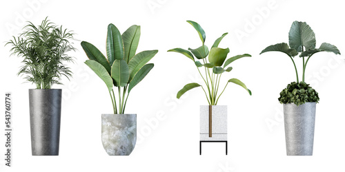 Isometric plant in white pot in 3d rendering