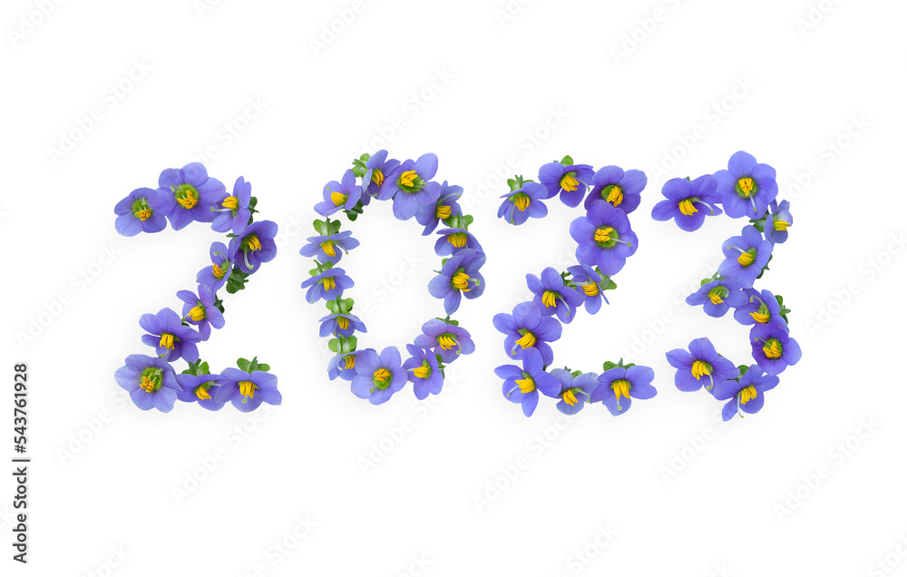 2023 made from small purple flowers. Persian violet s in full bloom on white background with clipping path. Happy new year, hello 2023 Concept. 2023 made from small purple flowers. Persian violet s in full bloom on white background with clipping path. Happy new year, hello 2023 Concept.