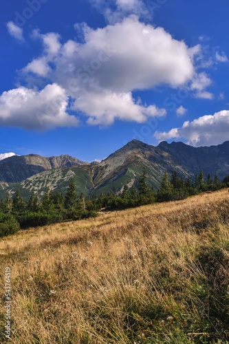 Beautiful summer landscape. Beautiful sunny day in the Polish Tatra Mountains. © shadowmoon30