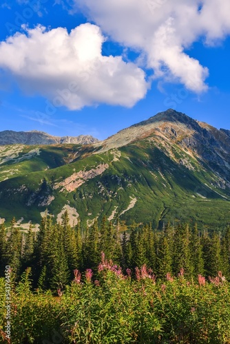 Beautiful summer landscape. Beautiful sunny day in the Polish Tatra Mountains.