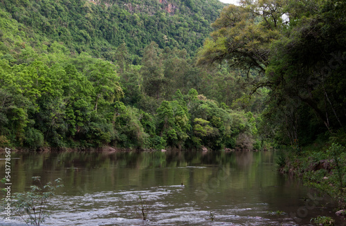 view of a beautiful river in summer