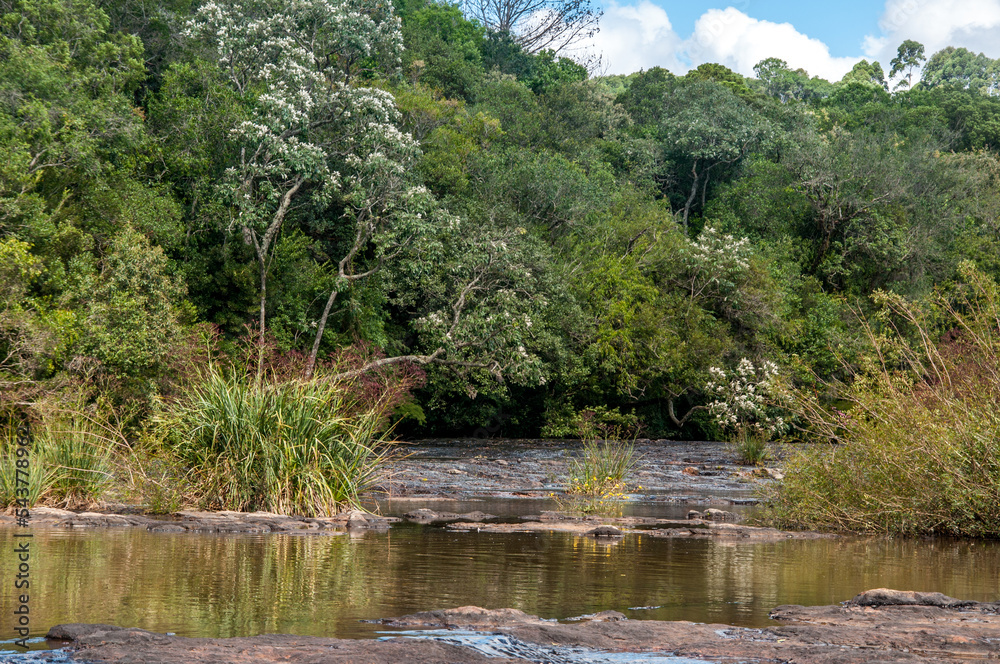 View of a beautiful river with a forest next to it and blue sky with clouds in the background View of a beautiful river with a forest next to it and blue sky with clouds in the background