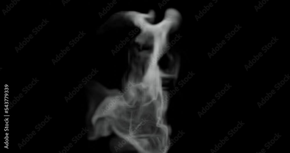 3d render of smoke or steam for food, hot surface effect for video overlay. Set screen for blending mode.











