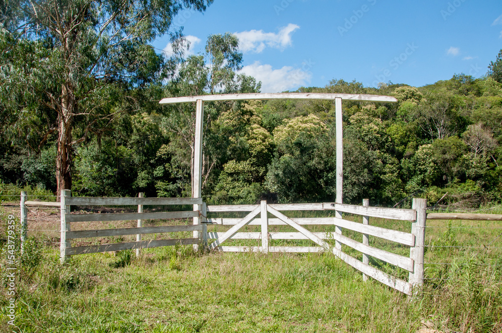 Wooden fence with a forest and blue sky and clouds in the background
