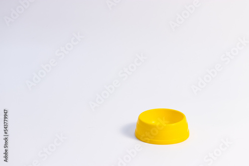 yellow cat bow on the white background isolated