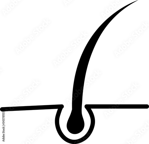 hair icon. hair vector illustration on white background..eps