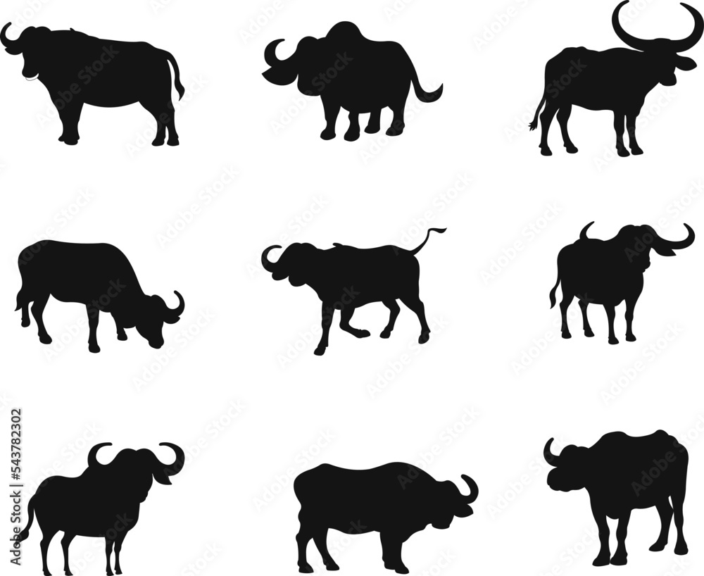 Set of Buffalo isolated vector Silhouettes 