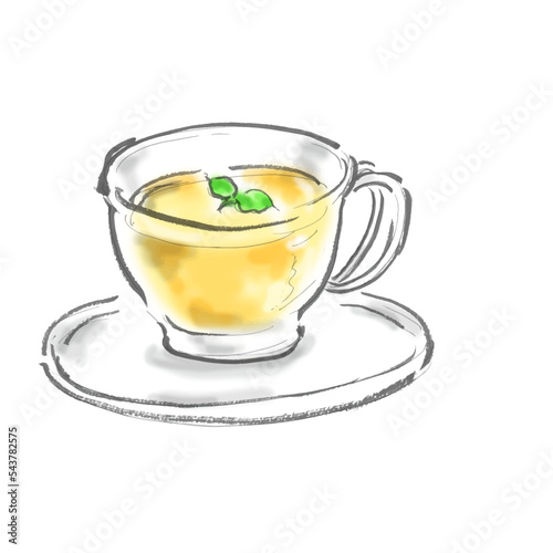 ハーブティー手描きイラスト