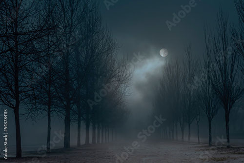 Foggy full moon night