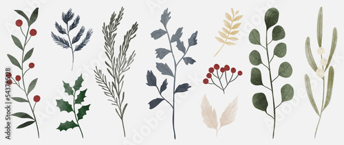 Fotografia Set of winter botanical watercolor leaf branches background vector illustration