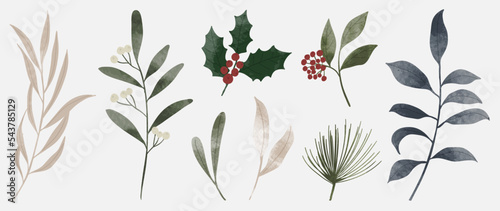Set of winter botanical watercolor leaf branches background vector illustration. Collection of watercolor winter wild foliage on white background. Design for sticker, poster, banner, card, decoration.