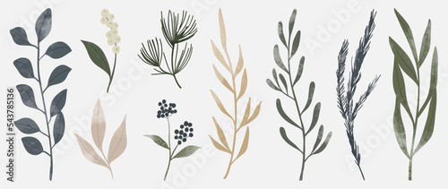 Set of winter botanical watercolor leaf branches background vector illustration. Collection of watercolor winter wild foliage on white background. Design for sticker, poster, banner, card, decoration.
