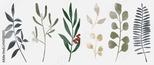 Set of winter botanical watercolor leaf branches background vector illustration. Collection of watercolor winter wild foliage on white background. Design for sticker, poster, banner, card, decoration.