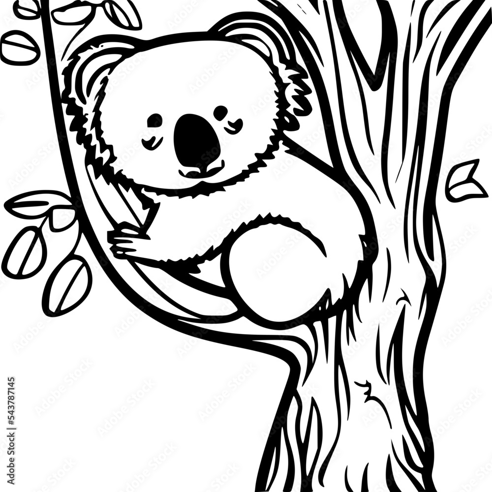Obraz premium Koala bear in a tree