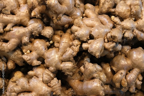 Pile of Ginger in the Market.