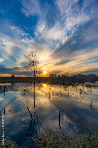 Fototapeta Naklejka Na Ścianę i Meble -  Fantastically beautiful sunset on the lake
