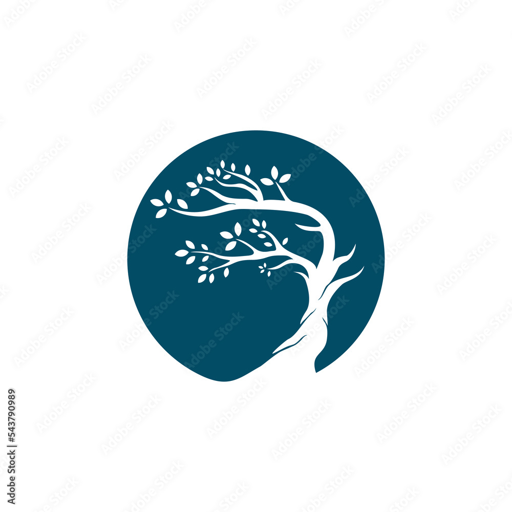 Obraz premium Bonsai logo design, tree icon vector illustration