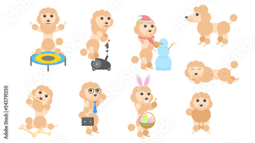 Set Abstract Collection Flat Cartoon Different Animal Pug Dogs Poodles Vector Design Style Elements Fauna Wildlife