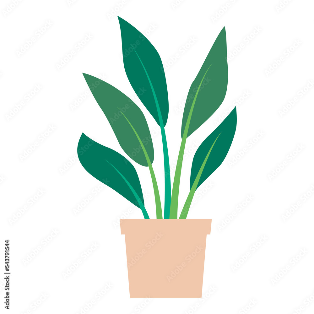 Illustration of houseplant in a pot Illustration of houseplant in a pot