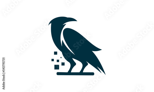 illustration of raven logo