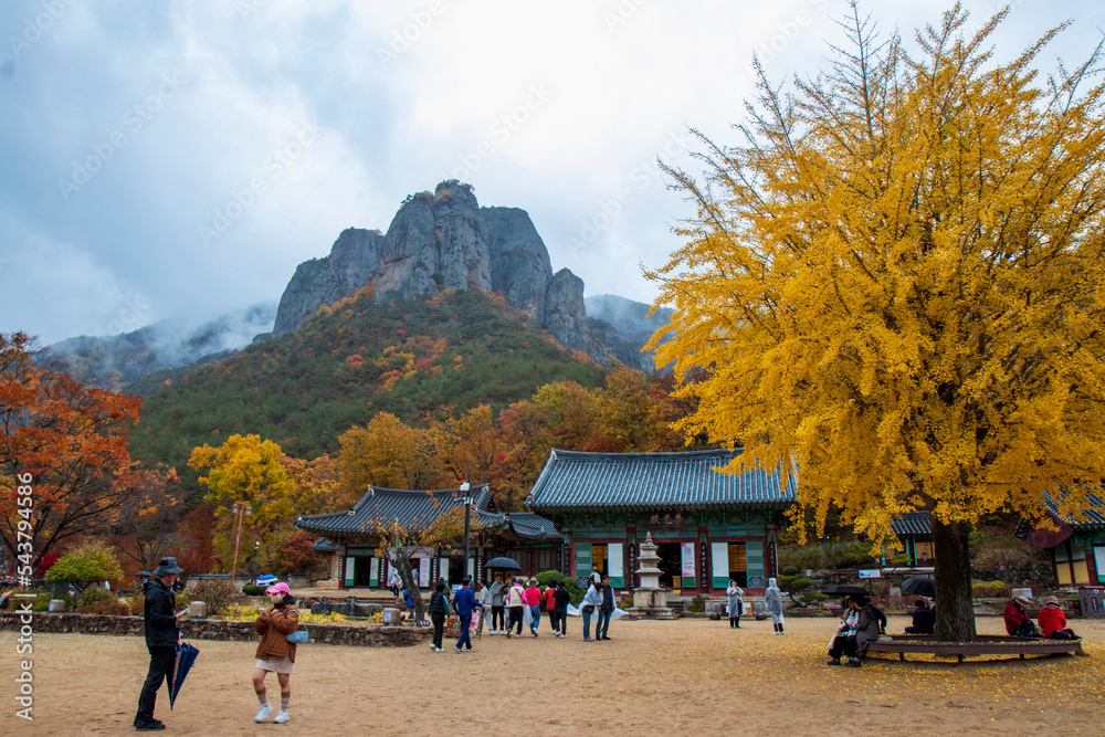 fall fall
