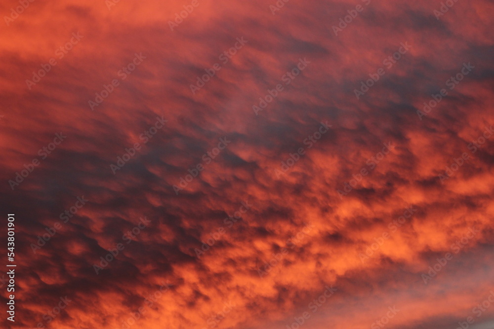 painting the heavens painting the heavens