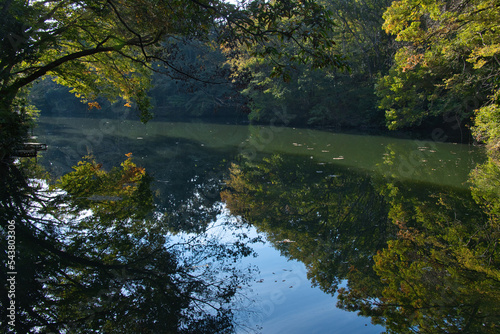 秦野の震生湖