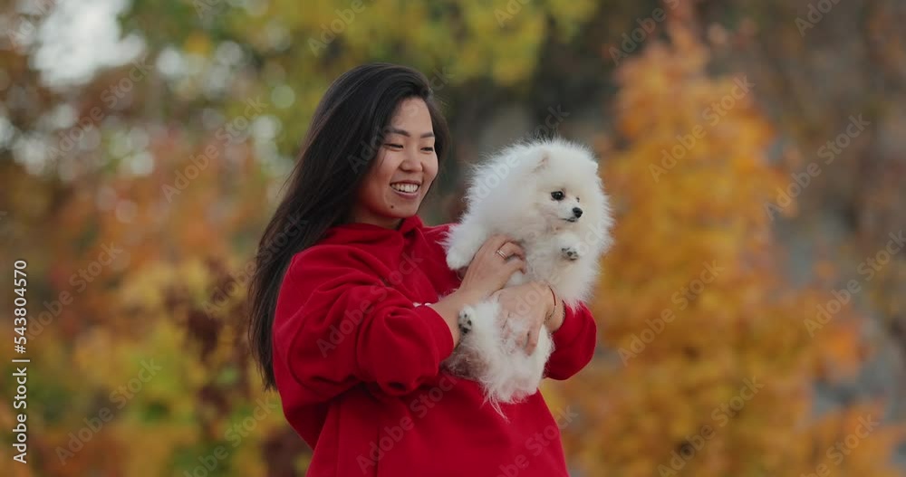 Asian woman with white spitz dog, autumn slow motion portrait