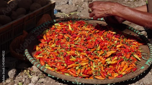 hand pick up chili in market. seller's hand sorting chilies on tray in market.