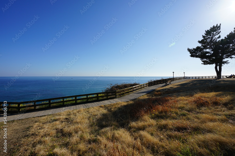 fascinating  seaside walkway and bench