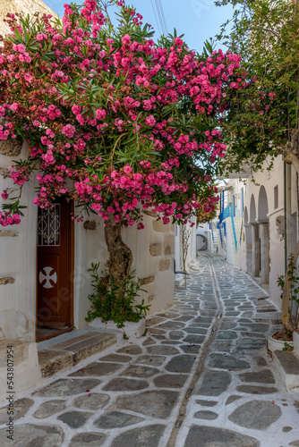 Traditional Cycladitic alley with narrow street, whitewashed houses and a blooming bougainvillea flowers in parikia, Paros island, Greece.