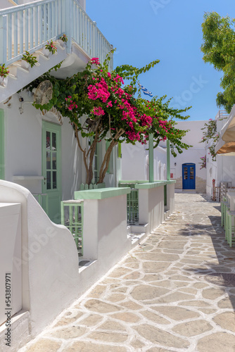 Fototapeta Naklejka Na Ścianę i Meble -  Traditional Cycladitic alley with narrow street, whitewashed houses and a blooming bougainvillea in Antiparos island, Greece.
