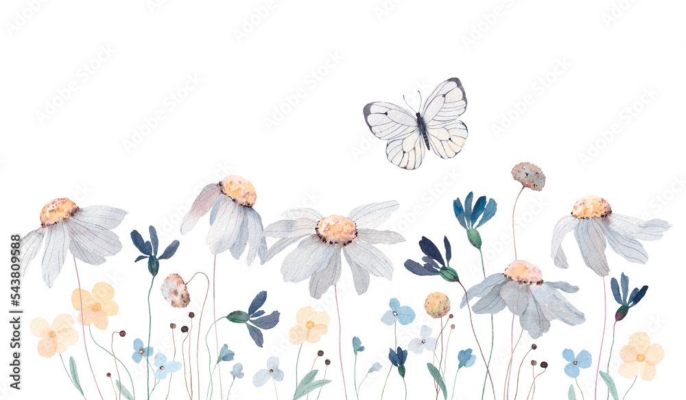Watercolor illustration with wildflowers, herbs and butterfly ...