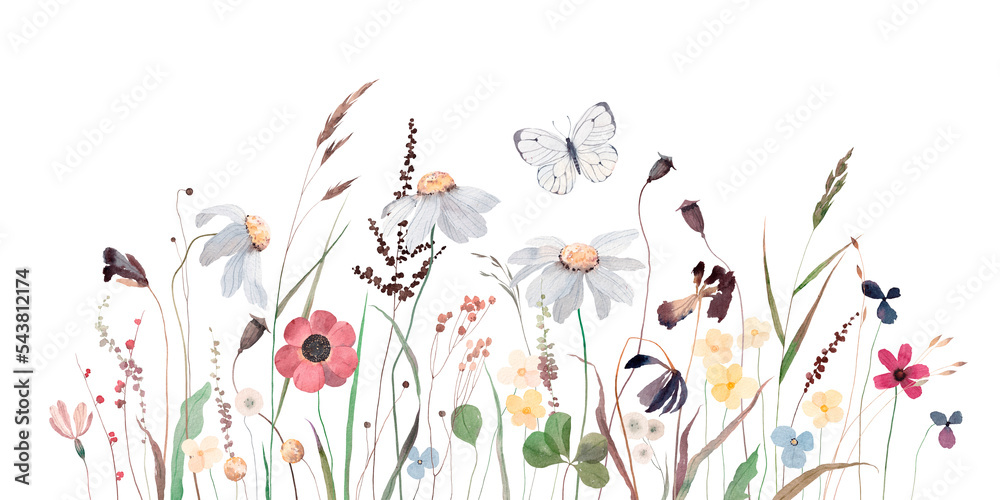 Watercolor illustration with wildflowers, herbs and butterfly. Panoramic horizontal isolated illustration. Autumn meadow. Illustration for card, border, banner or your other design.