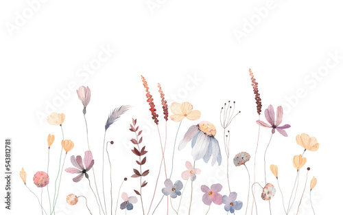 Summer meadow. Cute watercolor flowers horizontal border isolated on white background. Illustration for card, border, banner or your other design. Autumn.