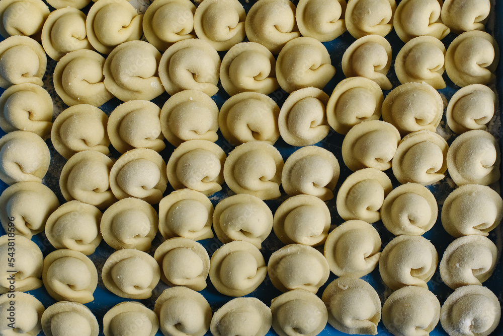 Close-up of many handmade dumplings on a tray in the freezer. Close-up of many handmade dumplings on a tray in the freezer.