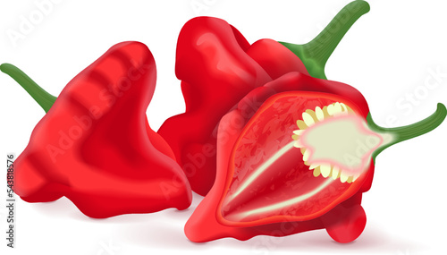 Whole and half of red scotch bonnet peppers. Capsicum chinense. Hot chili pepper. Fresh organic vegetables. Vector illustration isolated on white background.