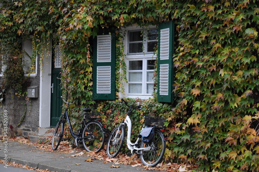Zwei Fahrräder an der Hauswand mit Jungfernreben