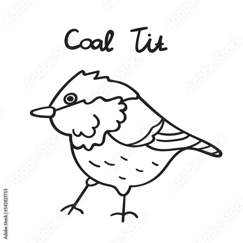 Coal tit. Bird. Outline vector illustration on white background.