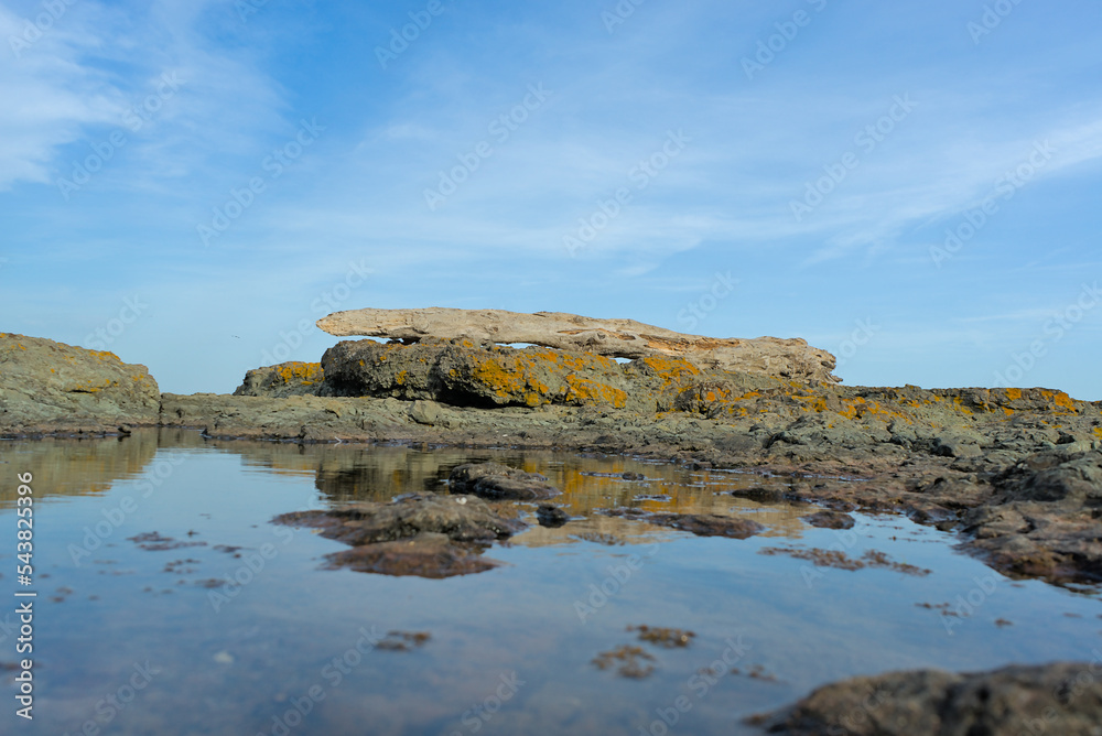 Rocky coast and water reflected stones. A tree log thrown ashore by a storm. clear blue sky clear sunny day