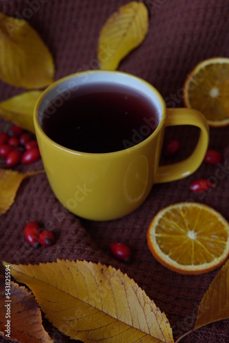 A cup of tea in autumn